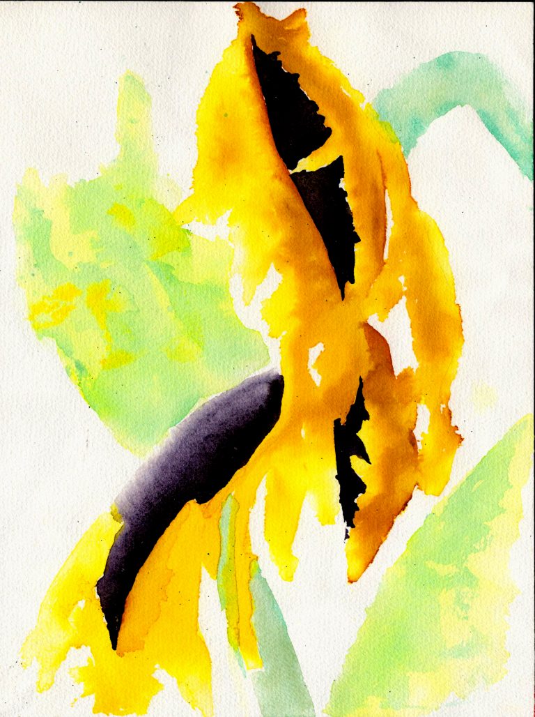 2022 11 29 15 18 37 01