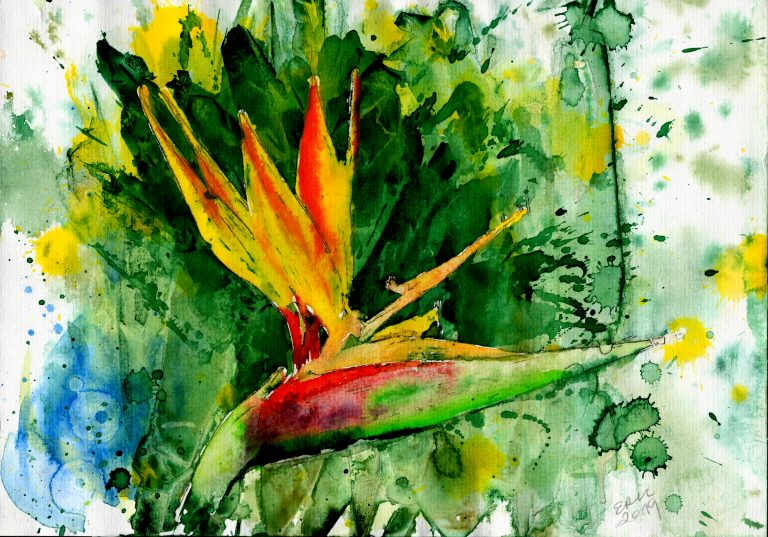 2022 11 29 15 20 07 01