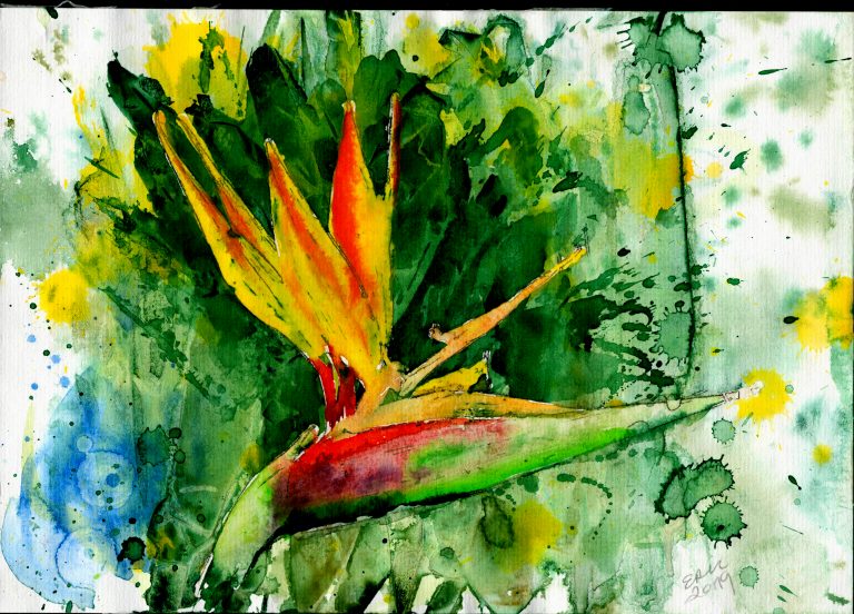 2022 11 29 15 20 07 01