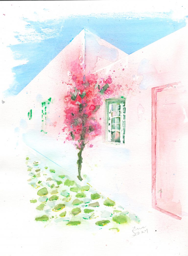 bouganvilla and green walkkway