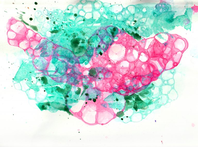 bouganvilla impromptu