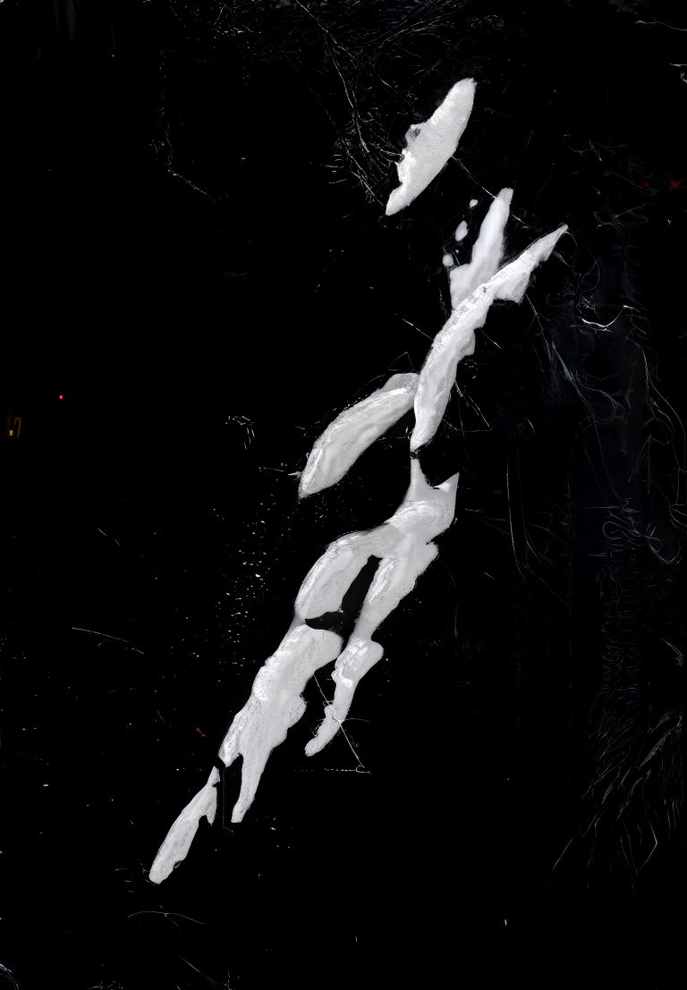 torso #2 topaz sharpen focus