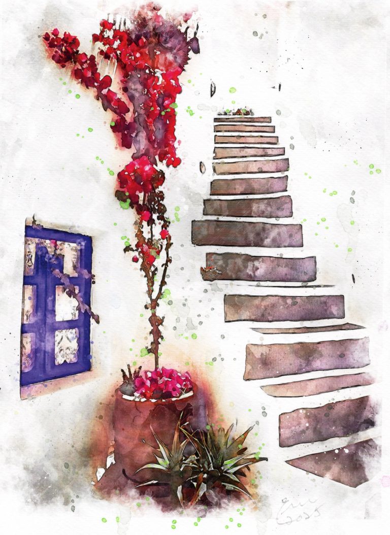 img20251016 14010636