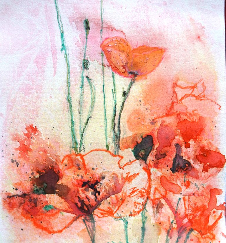poppies